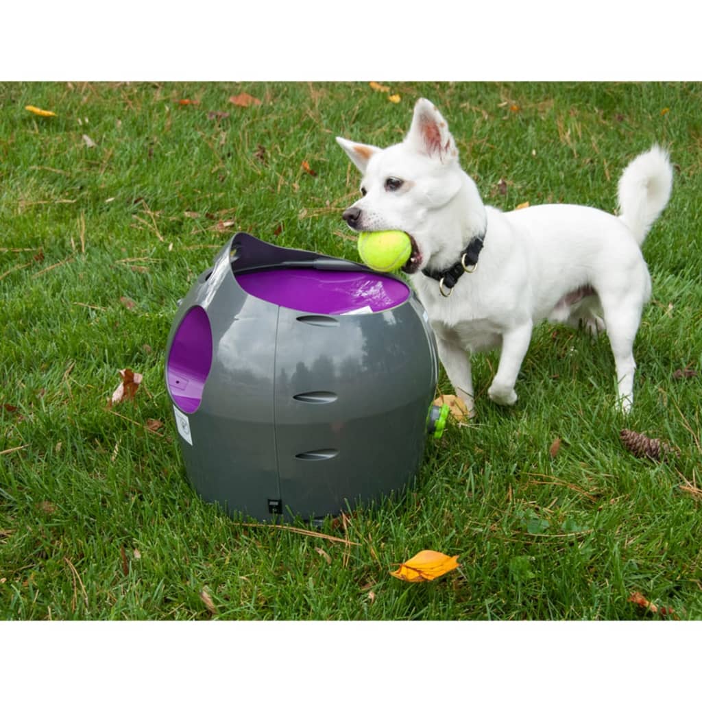 PetSafe Lanceur de balle automatique 9 m Gris et violet PTY00-14665