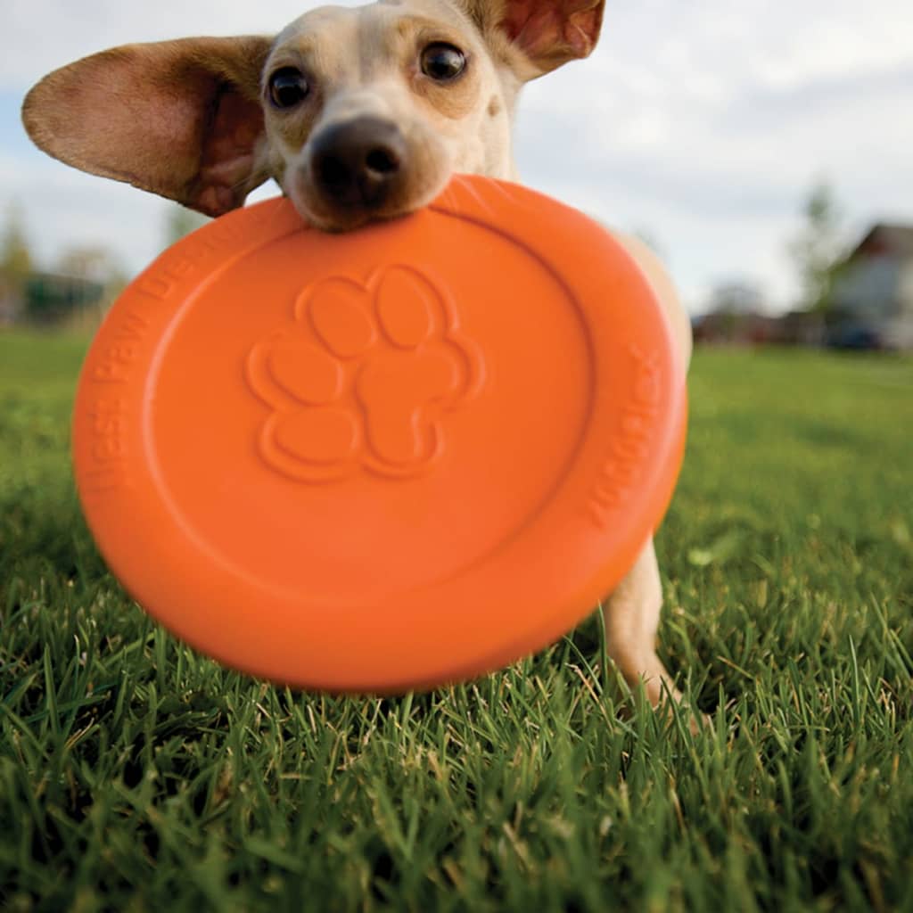 Zogoflex Frisbee pour chien Zisc Taille L Orange 1937