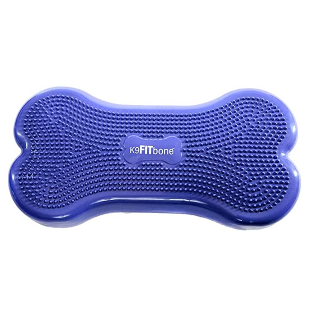 FitPAWS Plate-forme d'équilibre pour animaux K9FITbone PVC Bleu ciel