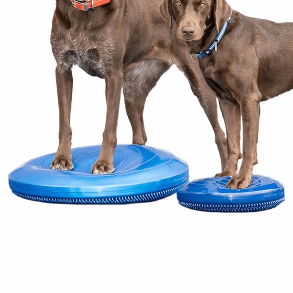 FitPAWS Disque d'équilibre pour animaux de compagnie 36 cm Bleu