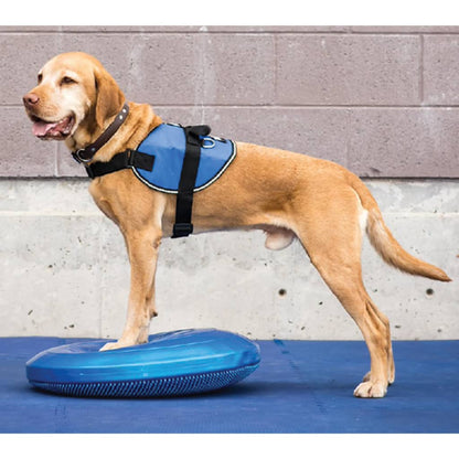 FitPAWS Disque d'équilibre pour animaux de compagnie 36 cm Bleu