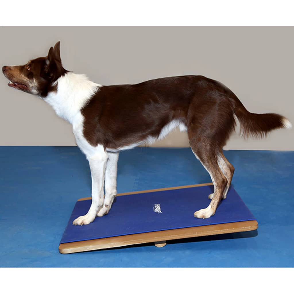 FitPAWS Planche à bascule grande 75x75 cm Bleu