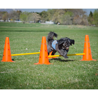 FitPAWS Ensemble d'obstacles