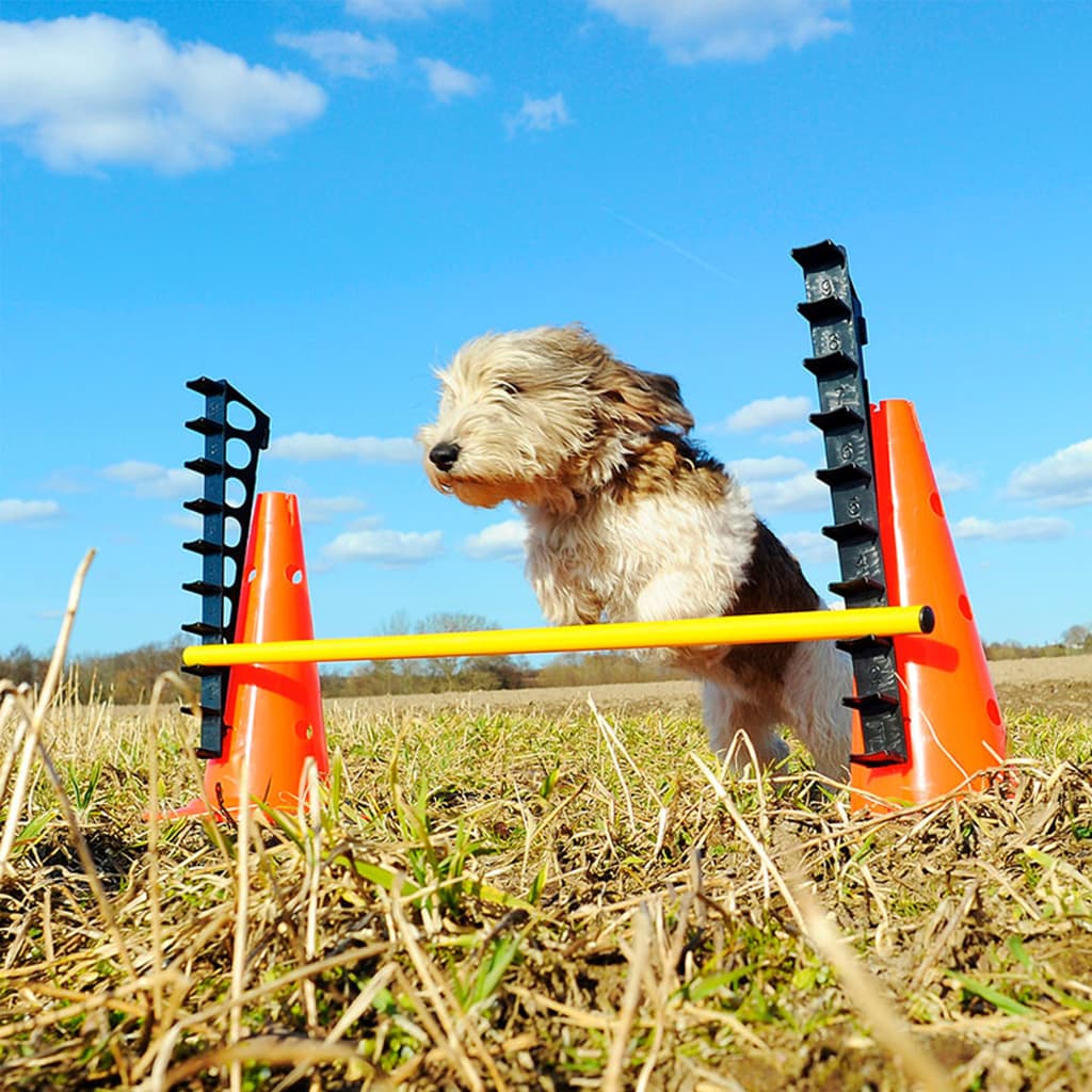 FitPAWS Ensemble d'obstacles