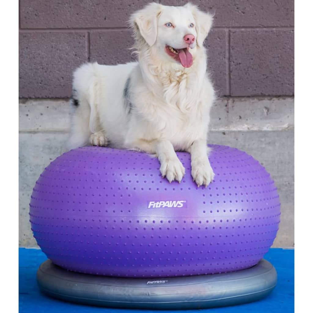 FitPAWS Balle d'équilibre pour animaux de compagnie TRAX Donut 55 cm