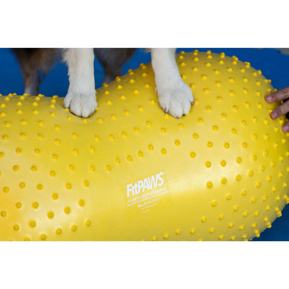 FitPAWS Plate-forme d'équilibre pour animaux de compagnie 40 cm Jaune