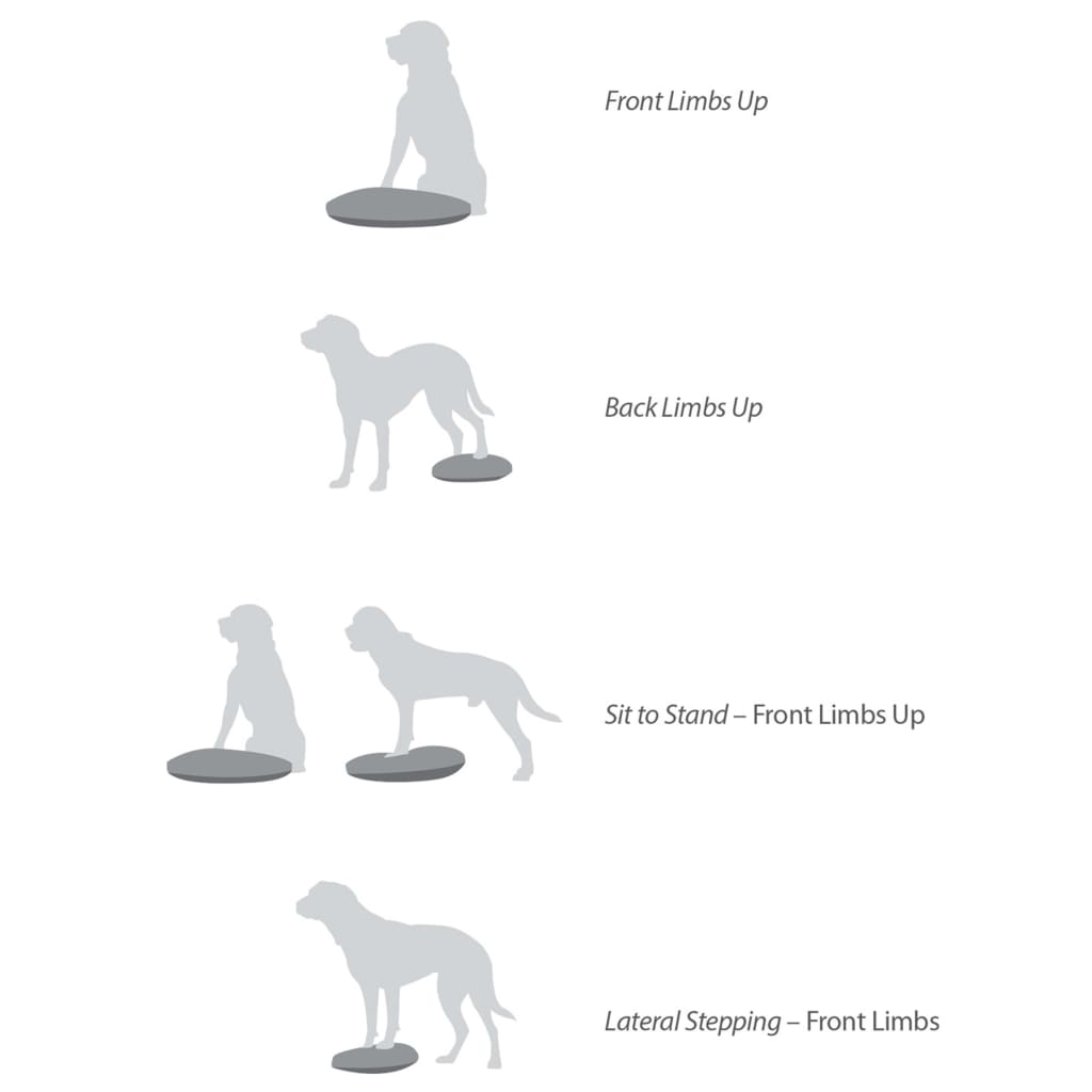 FitPAWS Disque d'équilibre pour animaux de compagnie 56 cm