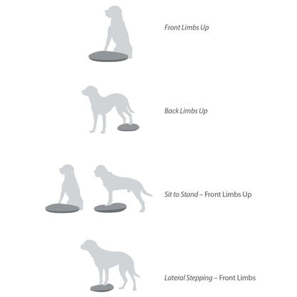 FitPAWS Disque d'équilibre pour animaux de compagnie 56 cm