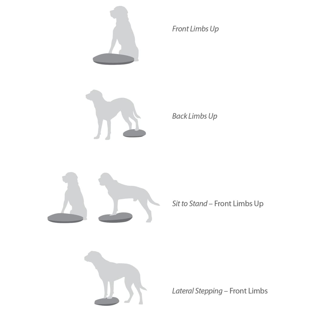 FitPAWS Disque d'équilibre pour animaux de compagnie 36 cm