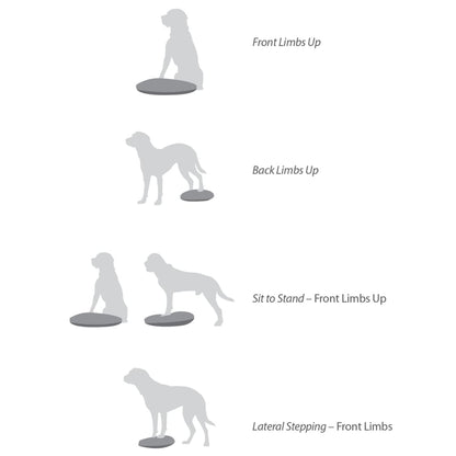 FitPAWS Disque d'équilibre pour animaux de compagnie 36 cm