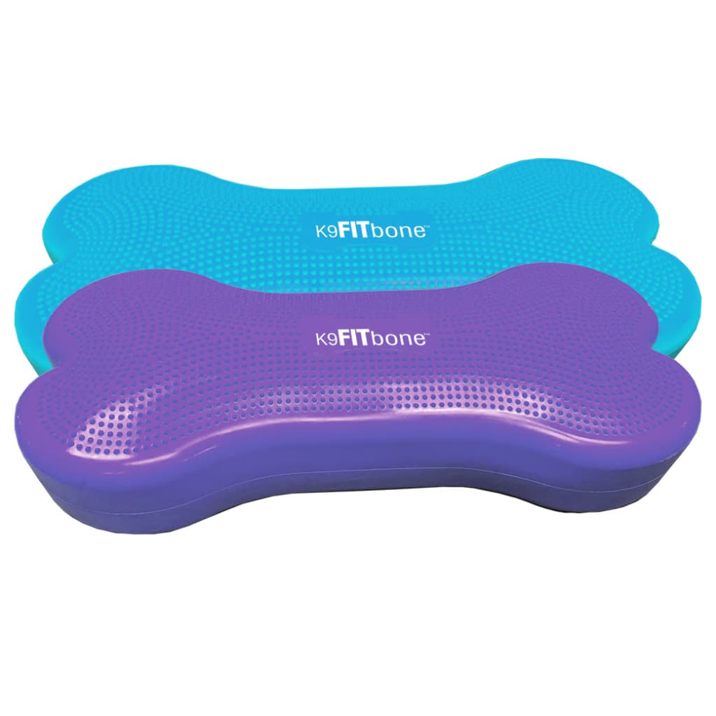 FitPAWS Plate-forme d'équilibre d'animaux Giant K9FITbone PVC Aqua