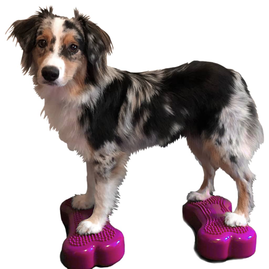 FitPAWS Plate-forme d'équilibre pour animaux de compagnie 2 pcs