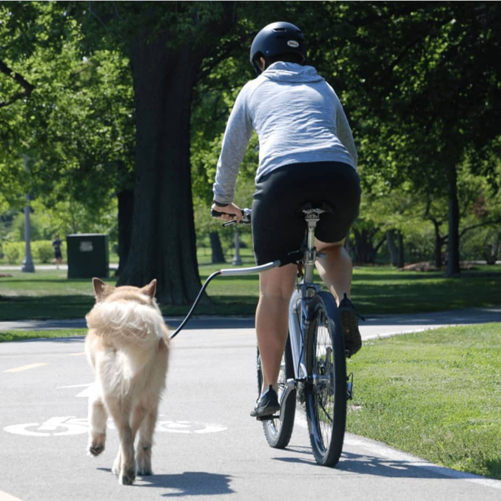 PetEgo Laisse de vélo universelle pour chiens Cycleash 85 cm