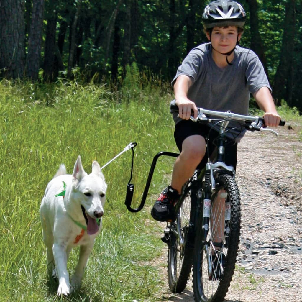 SPRINGER Kit d'exercice de vélo pour chiens