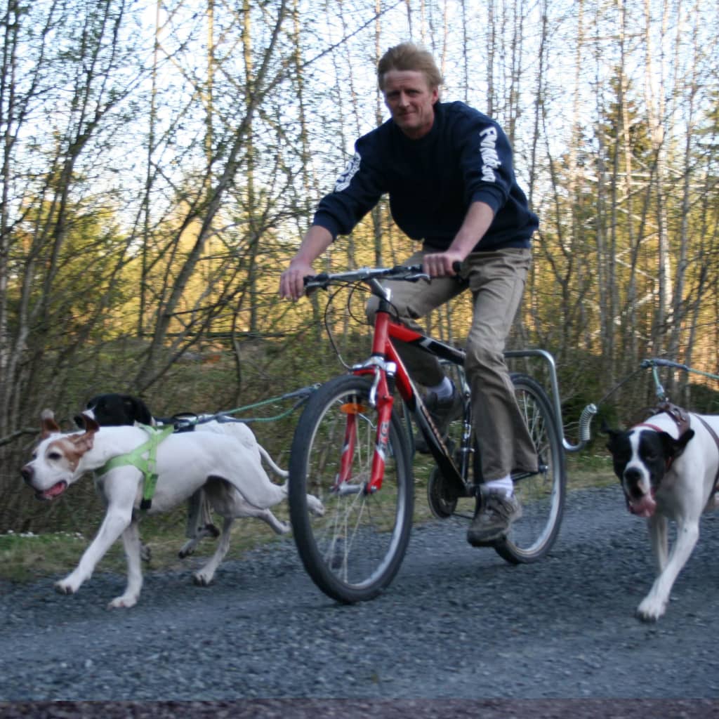 SPRINGER Kit d'exercice de vélo pour chiens