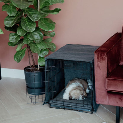 DISTRICT70 Couverture de cage pour chien Gris foncé M