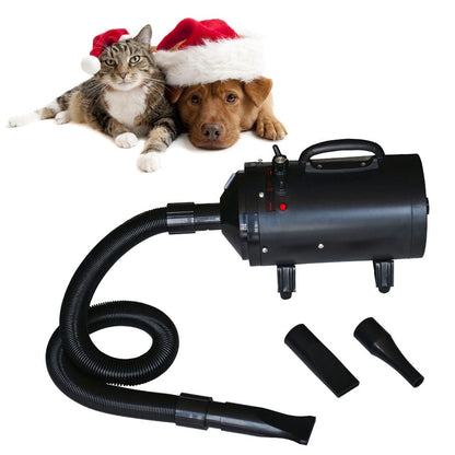 Sèche-cheveux pour chien avec 3 buses Noir 2400 W