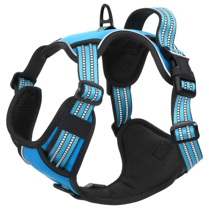 Harnais pour chien avec laisse et collier réglables bleu S