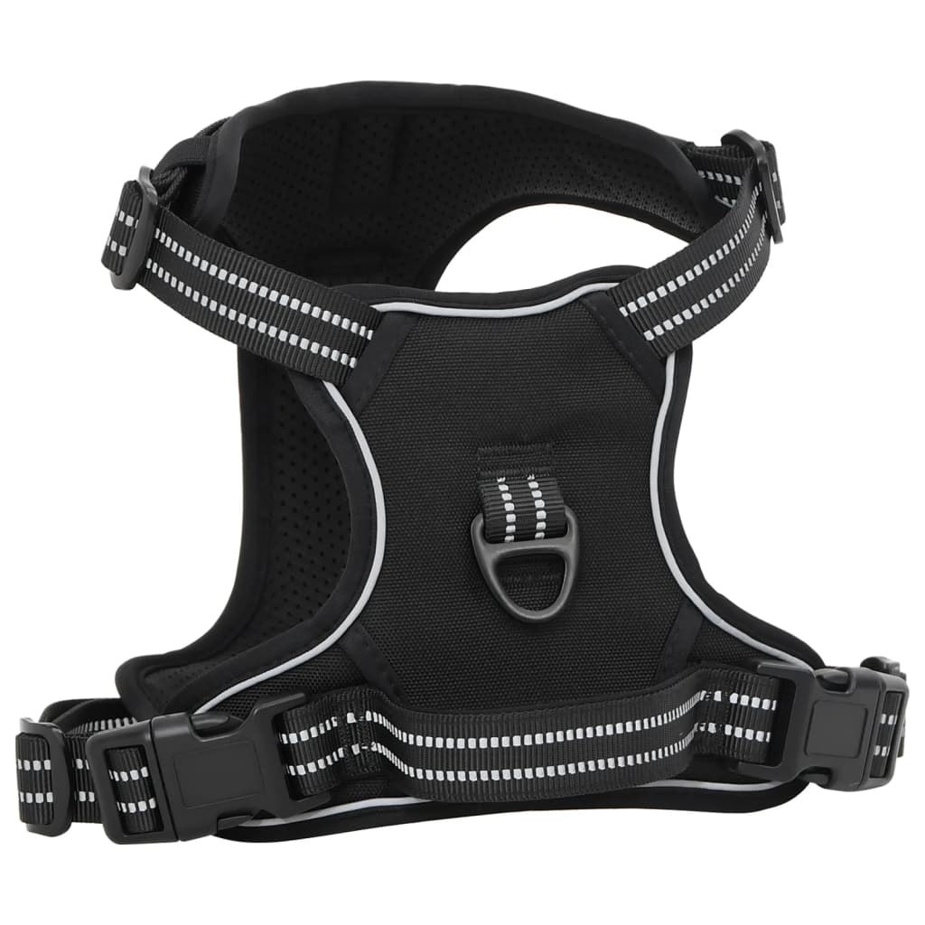 Harnais pour chien avec laisse et collier réglables noir L