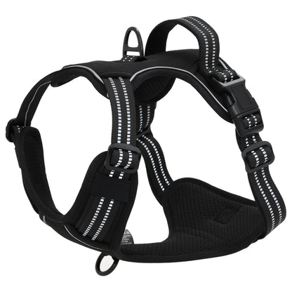 Harnais pour chien avec laisse et collier réglables noir L