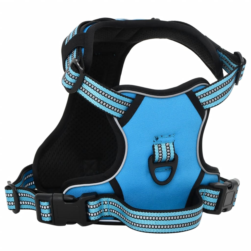 Harnais pour chien avec laisse et collier réglables bleu L