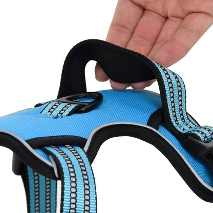 Harnais pour chien avec laisse et collier réglables bleu L