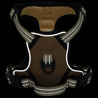 Harnais pour chien avec laisse et collier réglables marron XL